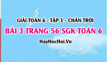 Giải bài 3 trang 56 Toán 6 Tập 1 SGK Chân trời sáng tạo